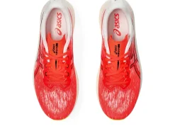 ASICS EVORIDE SPEED 2-Men Running Shoes