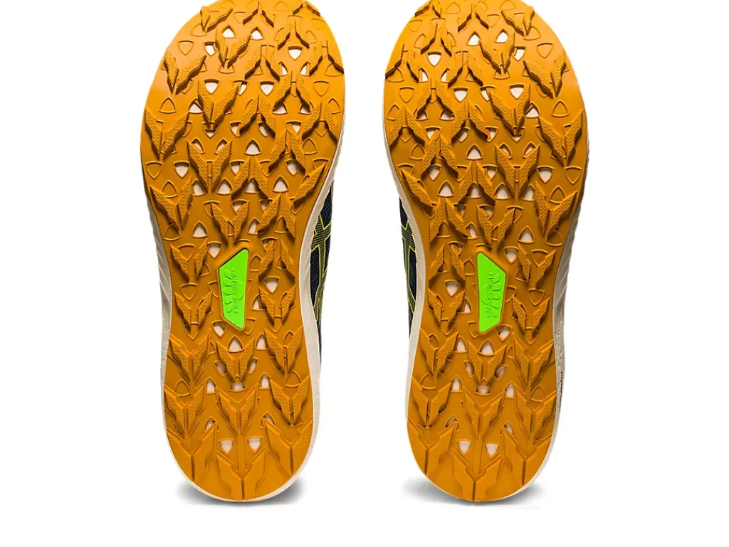 ASICS Fuji Lite 3-Men Trail Running|Shoes Under $100