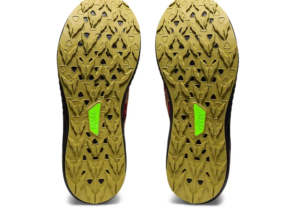 ASICS Fuji Lite 3-Men Trail Running|Shoes Under $100