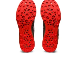 ASICS FujiSpeed-Men Trail Running|Shoes Under $100