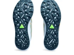 ASICS FUJISPEED 2-Men Running Shoes