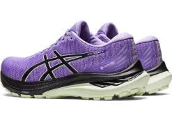 ASICS GT-2000 11 GTX-Women Neutral|Overpronation