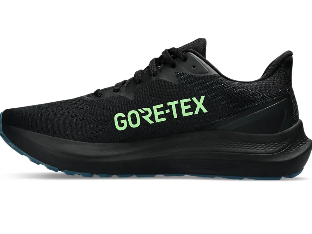 ASICS GT-2000 12 GTX-Men Overpronation|Running Shoes