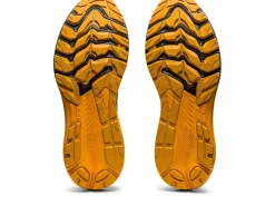 ASICS GT-2000 11 TR-Men Trail Running|Overpronation