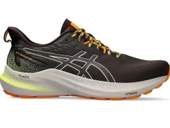 ASICS GT-2000 12 TR-Men Trail Running|Overpronation