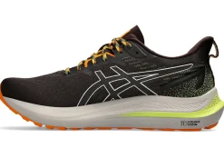 ASICS GT-2000 12 TR-Men Trail Running|Overpronation
