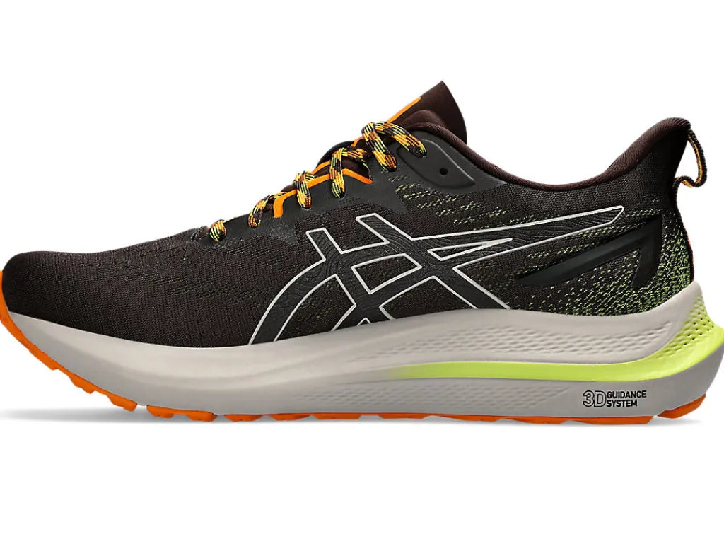 ASICS GT-2000 12 TR-Men Trail Running|Overpronation