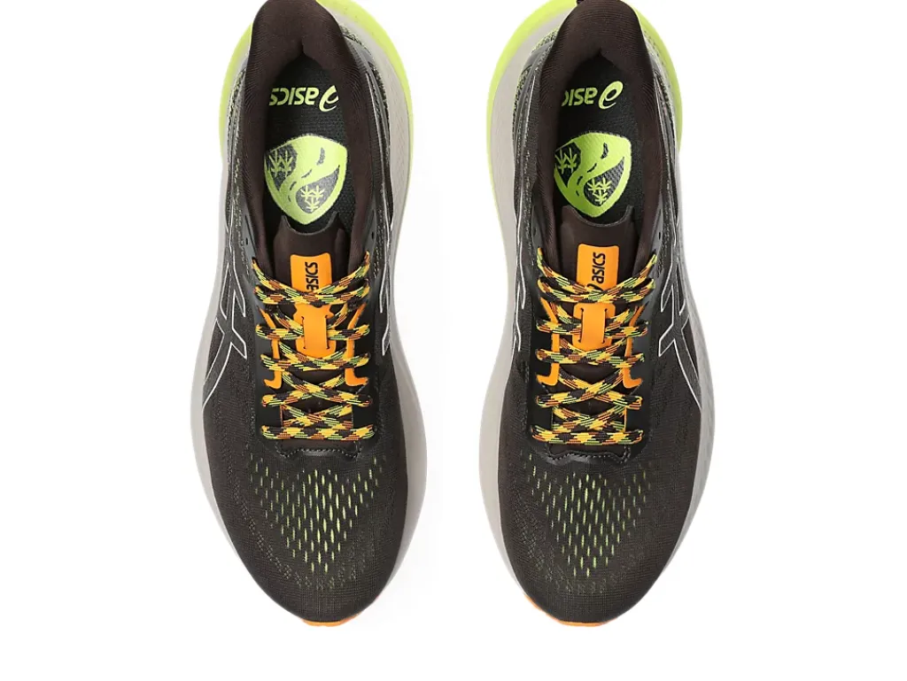 ASICS GT-2000 12 TR-Men Trail Running|Overpronation