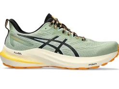 ASICS GT-2000 12 TR-Men Trail Running|Overpronation