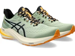 ASICS GT-2000 12 TR-Men Trail Running|Overpronation