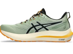 ASICS GT-2000 12 TR-Men Trail Running|Overpronation