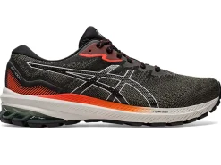 ASICS GT-1000 11 TR NATURE BATHING-Men Overpronation|Shoes Under $100