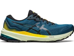 ASICS GT-1000 11 TR NATURE BATHING-Men Overpronation|Shoes Under $100