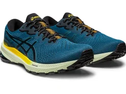 ASICS GT-1000 11 TR NATURE BATHING-Men Overpronation|Shoes Under $100