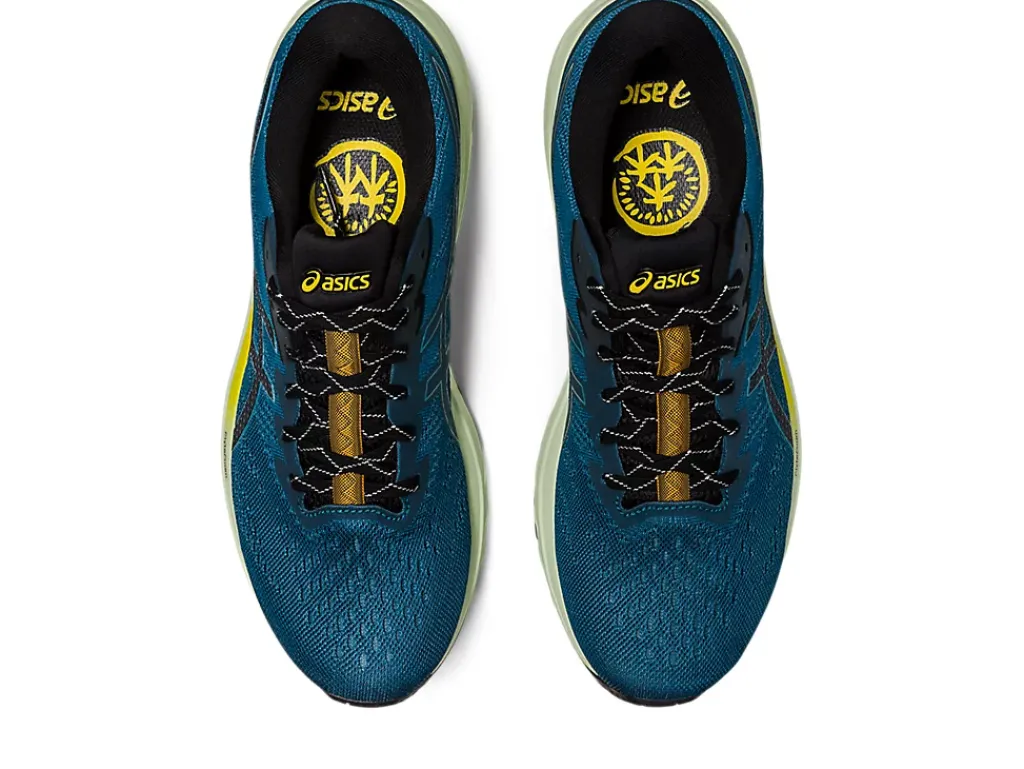 ASICS GT-1000 11 TR NATURE BATHING-Men Overpronation|Shoes Under $100