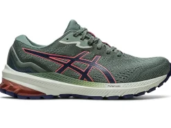ASICS GT-1000 11 TR NATURE BATHING-Women Neutral|Overpronation
