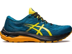 ASICS GT-2000 11 TR WIDE NATURE BATHING ROAD TESTED-Men Road Tested Footwear