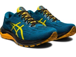 ASICS GT-2000 11 TR WIDE NATURE BATHING ROAD TESTED-Men Road Tested Footwear