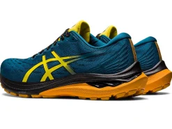 ASICS GT-2000 11 TR WIDE NATURE BATHING-Men Trail Running|Overpronation