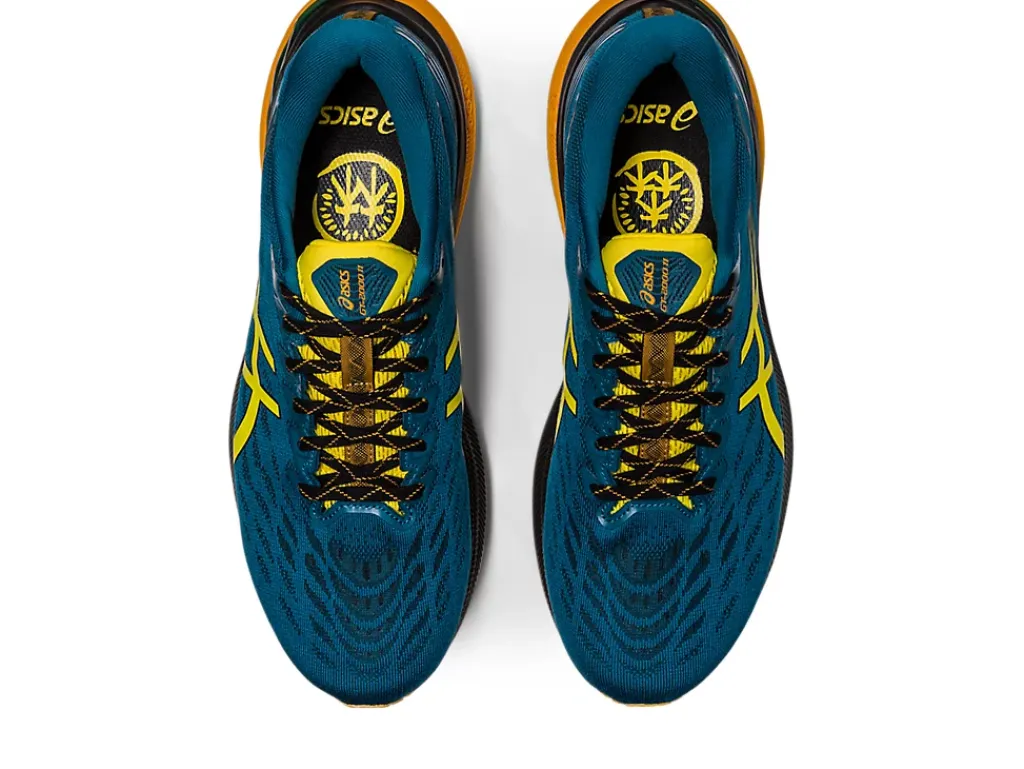 ASICS GT-2000 11 TR WIDE NATURE BATHING-Men Trail Running|Overpronation