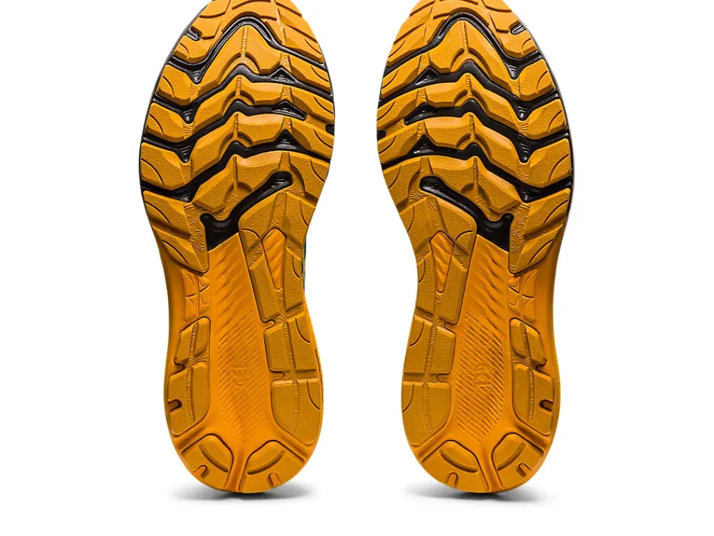 ASICS GT-2000 11 TR WIDE NATURE BATHING-Men Trail Running|Overpronation
