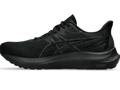 ASICS GT-2000 12 WIDE-Men Overpronation|Wide Shoes