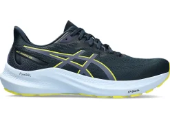 ASICS GT-2000 12 WIDE ROAD TESTED-Men Road Tested Footwear