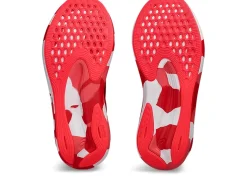 ASICS NOOSA TRI 15-Women Track & Field|Neutral